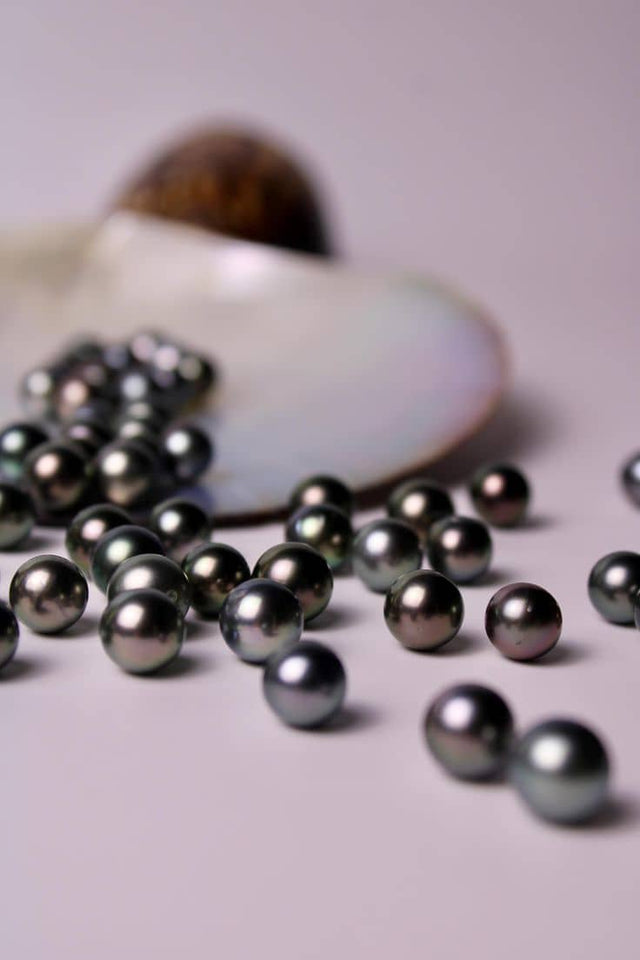 Différences entre les Perles de Tahiti et les Perles d'eau douce Noires - NEIJE