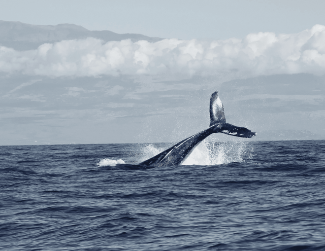 Bijoux écoresponsables : l’avenir de la mode éthique? - NEIJE
